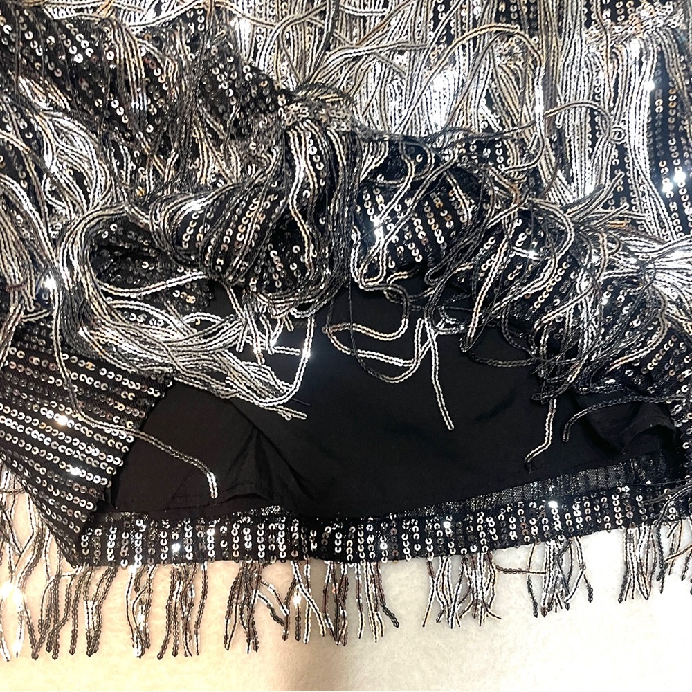 Day + Moon‎ Silver Sequin Layer Fringe Flapper Costume Party Dress Women's Small - Picture 9 of 15